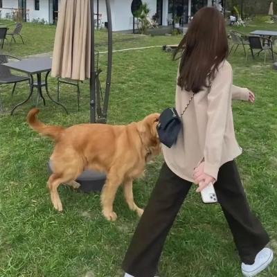 女心理师之暗夜重生