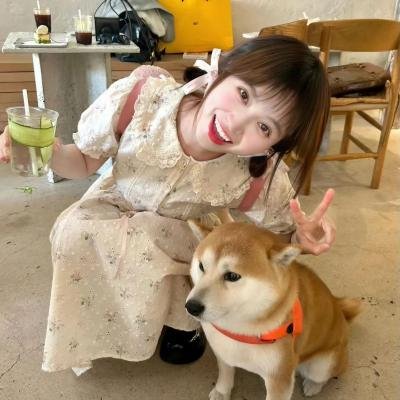 舞伎家的料理人